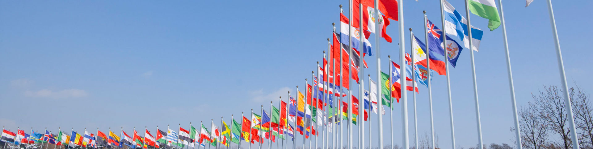 國際資料企業宣傳網站|一網天行-網站建設小程序APP系統軟件開發公司