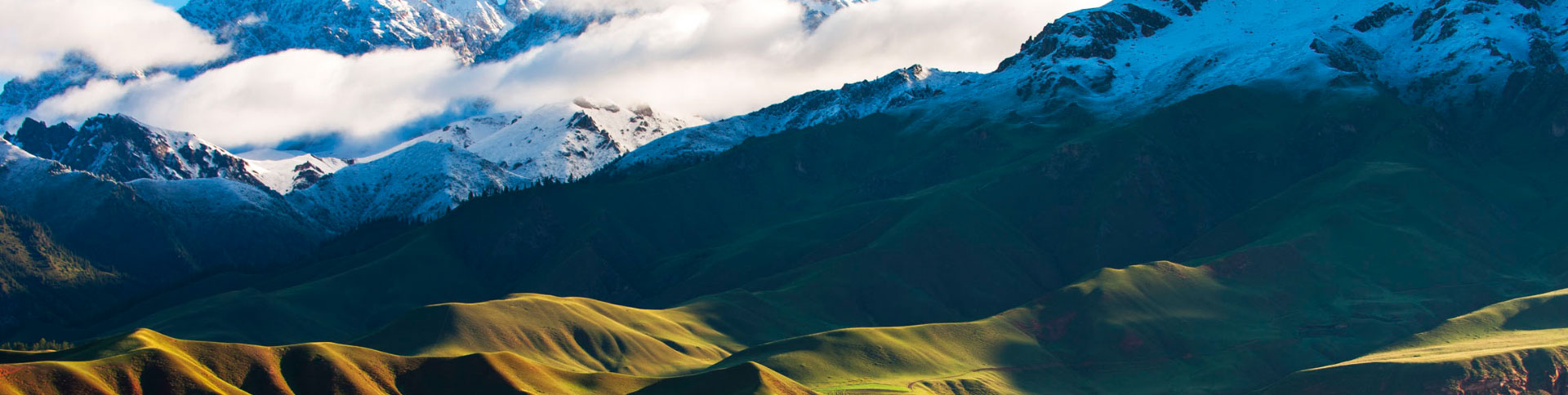 匯智博眾企業宣傳網站|一網天行-網站建設小程序APP系統軟件開發公司