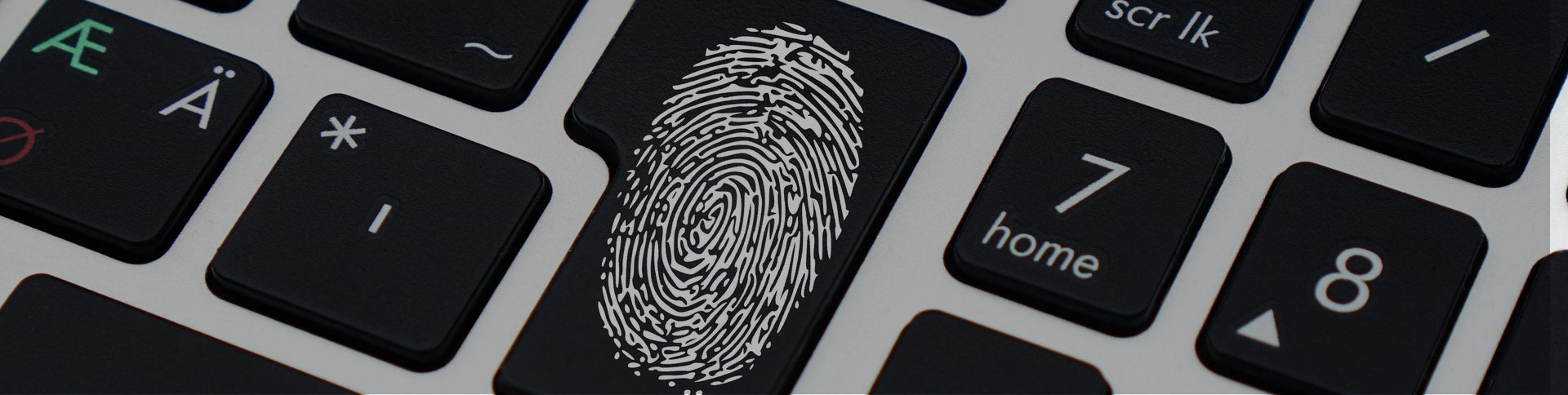 文創思宇企業官網|一網天行-網站建設小程序APP系統軟件開發公司