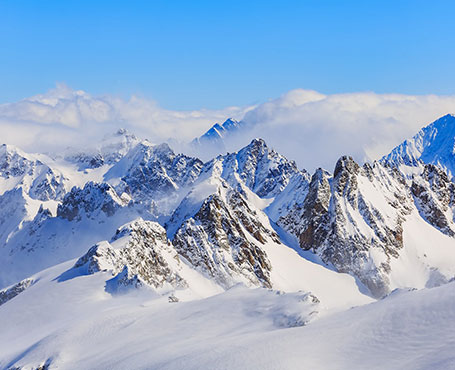 新毅控股企業宣傳網站|一網天行-網站建設小程序APP系統軟件開發公司