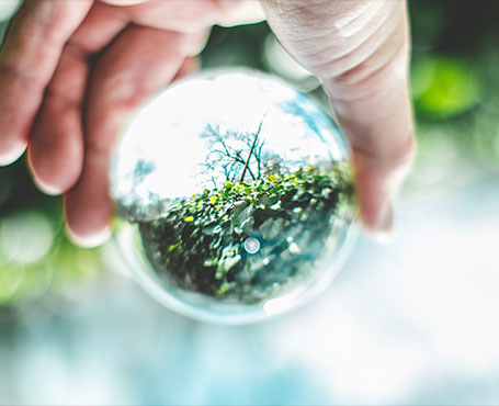 中關村節能環保專委會網站|一網天行-網站建設小程序APP系統軟件開發公司