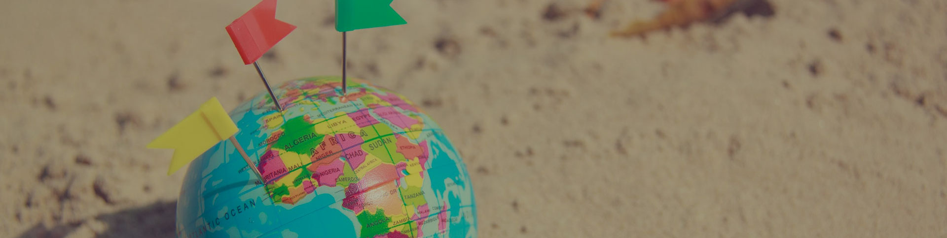 環(huán)球購物官方網站|一網天行-網站建設小程序APP系統(tǒng)軟件開發(fā)公司