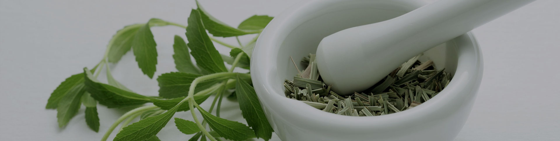 種藥吧-中藥供需信息發布平臺|一網天行-網站建設小程序APP系統軟件開發公司