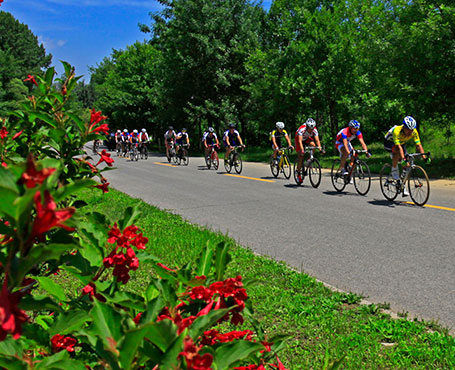 京西北旅游宣傳網站|一網天行-網站建設小程序APP系統軟件開發公司