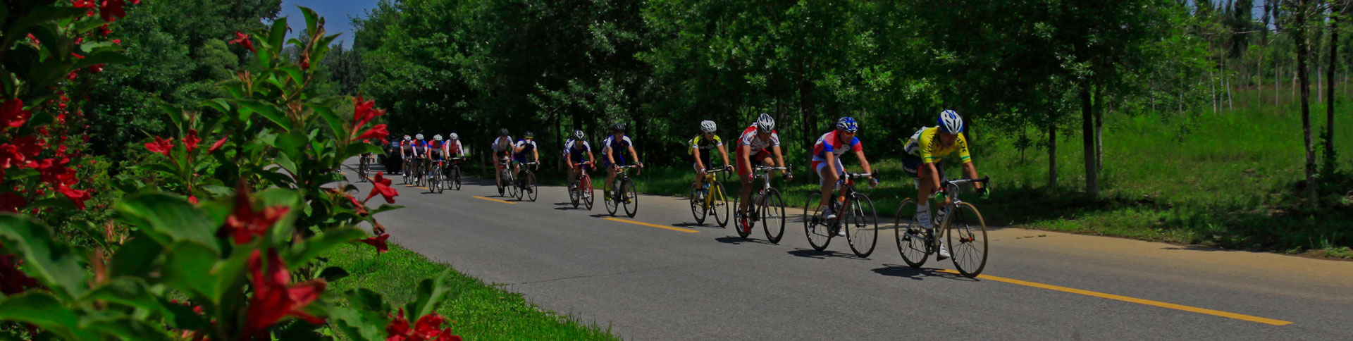 京西北旅游宣傳網站|一網天行-網站建設小程序APP系統軟件開發公司