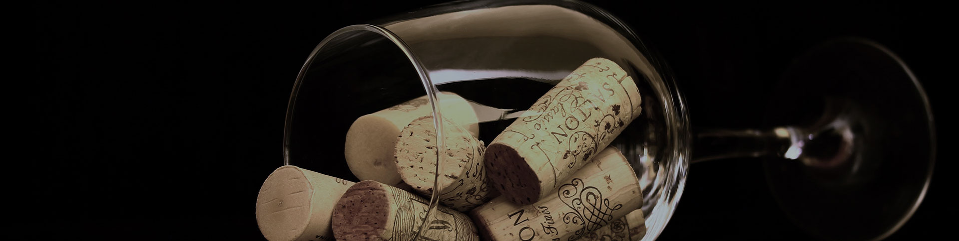 廣博康泰企業宣傳網站|一網天行-網站建設小程序APP系統軟件開發公司