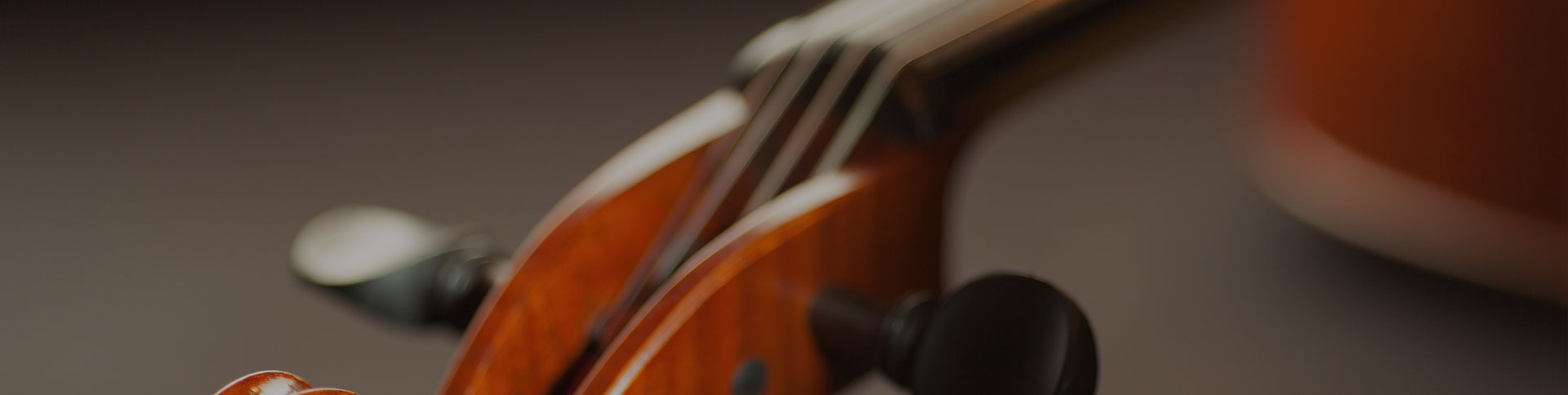 中國民族管弦樂學會-在線考試證書平臺|一網天行-網站建設小程序APP系統軟件開發公司