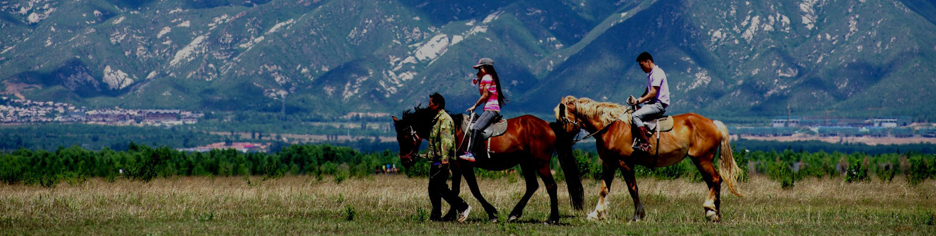 京西北旅游-微信H5展示平臺|一網天行-網站建設小程序APP系統軟件開發公司