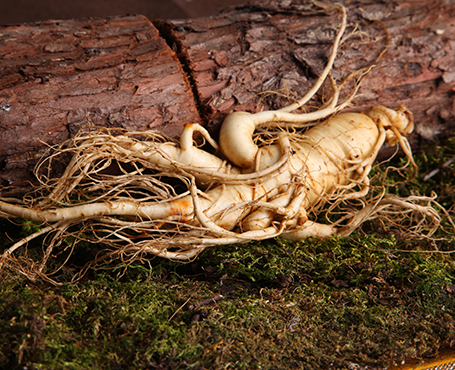 正德藥業-品牌營銷網站|一網天行-網站建設小程序APP系統軟件開發公司