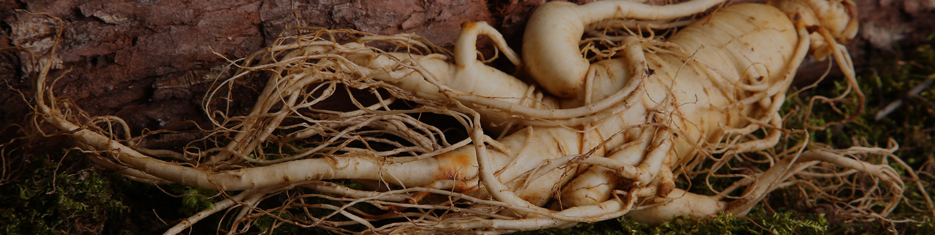 正德藥業(yè)-品牌營(yíng)銷網(wǎng)站|一網(wǎng)天行-網(wǎng)站建設(shè)小程序APP系統(tǒng)軟件開發(fā)公司