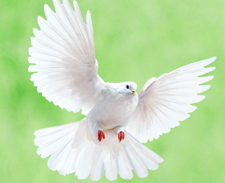 野谷集團網站|一網天行-網站建設小程序APP系統軟件開發公司