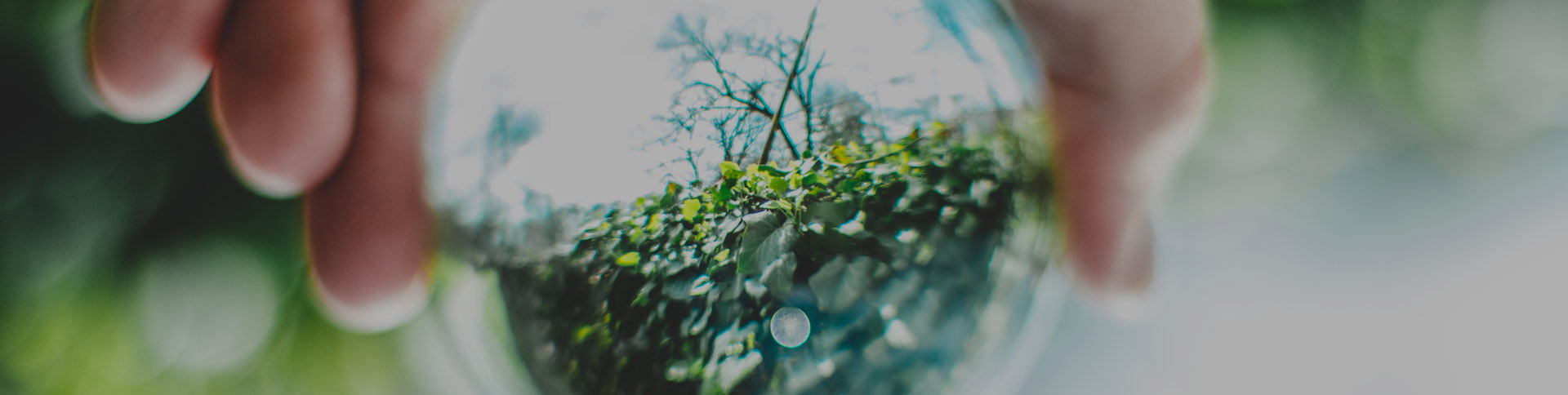 中關(guān)村節(jié)能環(huán)保專委會(huì)網(wǎng)站|一網(wǎng)天行-網(wǎng)站建設(shè)小程序APP系統(tǒng)軟件開(kāi)發(fā)公司